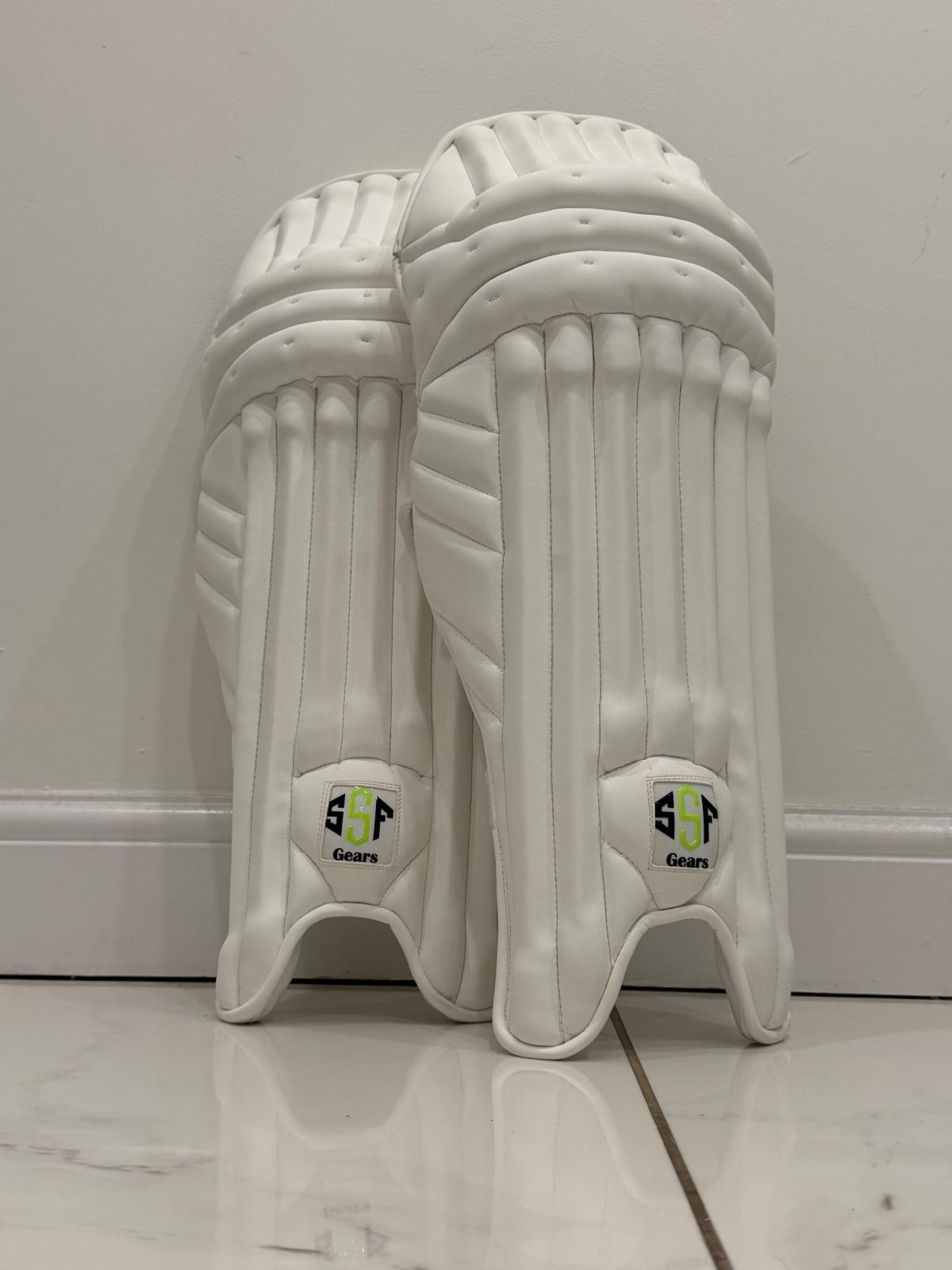 SSF cricket image 2